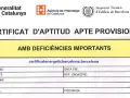 Certificat d'aptitud provisional amb deficiències importants, relatiu a la inspecció tècnica d'edificis a Barcelona.