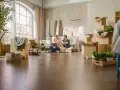 Pareja celebrando mientras planean comprar un piso a medias. Cajas y plantas por doquier, listos para empezar una nueva vida.