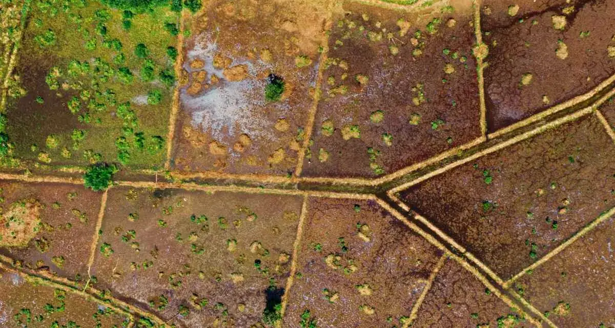 Vista aérea de campos divididos por caminos, con parches de vegetación verde y marrón. El **suelo urbanizable** se vislumbra entre la tierra húmeda y la vegetación.