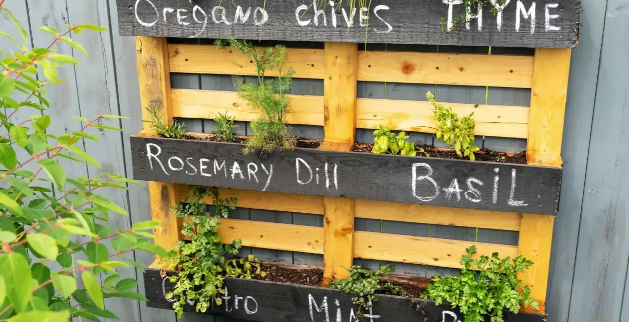 Jardineras con palets exterior llenas de hierbas aromáticas: orégano, cebollino, tomillo, romero, eneldo, albahaca, cilantro, menta y perejil.