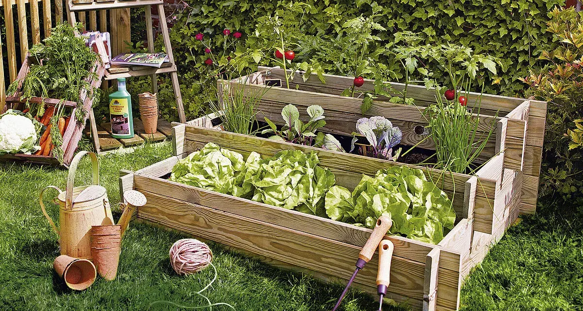 Huerto escalonado con lechugas, cebollino, col y tomates. Ideal para ver qué se puede plantar ahora.