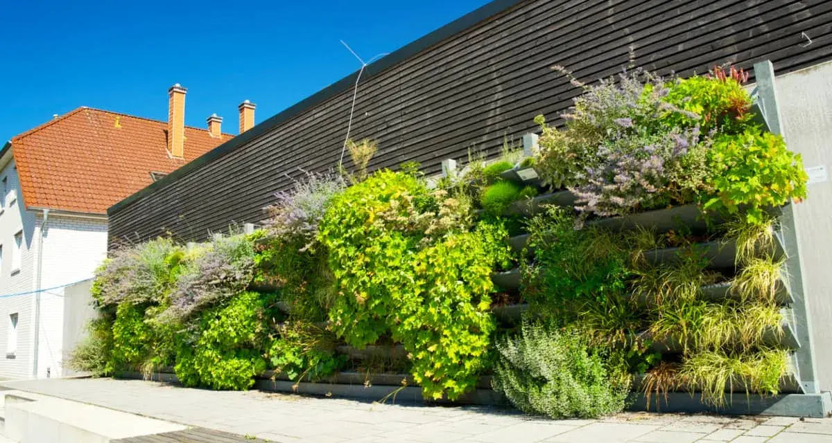 Un exuberante jardín vertical con palets y macetas, lleno de plantas verdes y flores moradas, adorna una pared de madera oscura.