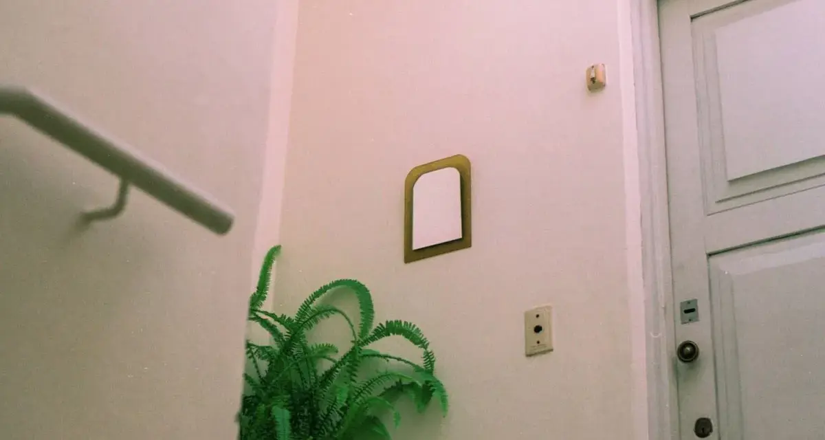 Un helecho verde decora un rincón, mostrando que se pueden poner plantas en zonas comunes. Una puerta blanca y un pasamanos completan la escena.