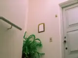 Un helecho verde decora un rincón, mostrando que se pueden poner plantas en zonas comunes. Una puerta blanca y un pasamanos completan la escena.