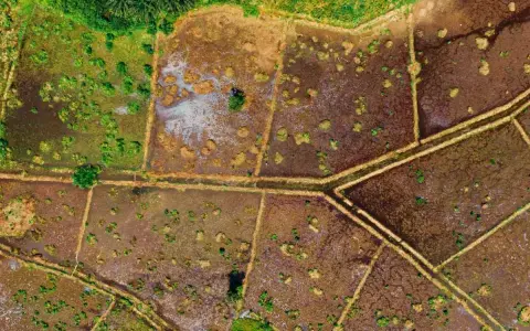 Vista aérea de campos divididos por caminos, con parches de vegetación verde y marrón. El **suelo urbanizable** se vislumbra entre la tierra húmeda y la vegetación.