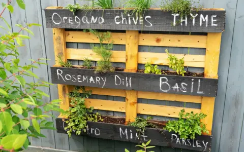 Jardineras con palets exterior llenas de hierbas aromáticas: orégano, cebollino, tomillo, romero, eneldo, albahaca, cilantro, menta y perejil.