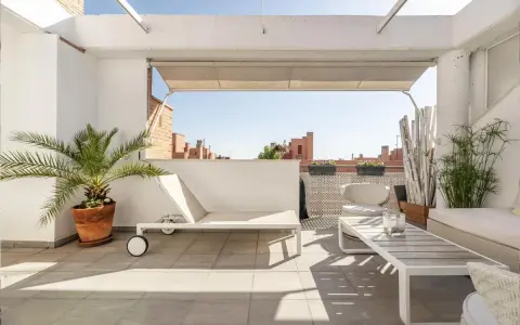 Encantadora decoracion terrazas aticos: tumbona, mesa de centro, sillón y plantas crean un oasis urbano.