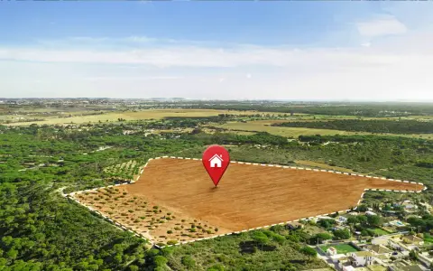 Terreno llano y despejado, marcado con un pin de casa, rodeado de pinos y vegetación. Un área de suelo terciario ideal para construir.