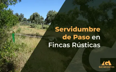 Paisaje rural con texto "Servidumbre de Paso en Fincas Rústicas". Explora la diferencia entre finca y parcela.