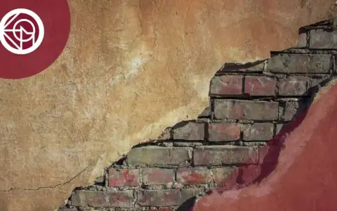 El desprendimiento de la fachada revela ladrillos antiguos, un reflejo de lo que pasa con los propietarios de un edificio en ruinas.
