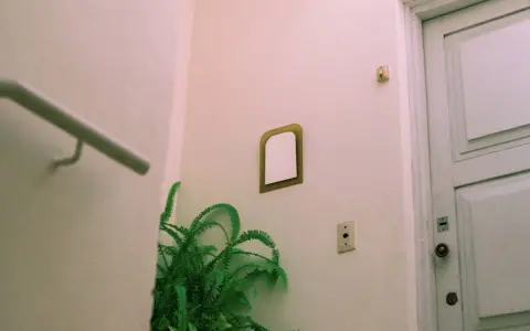 Un helecho verde decora un rincón, mostrando que se pueden poner plantas en zonas comunes. Una puerta blanca y un pasamanos completan la escena.