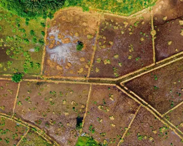 Vista aérea de campos divididos por caminos, con parches de vegetación verde y marrón. El **suelo urbanizable** se vislumbra entre la tierra húmeda y la vegetación.