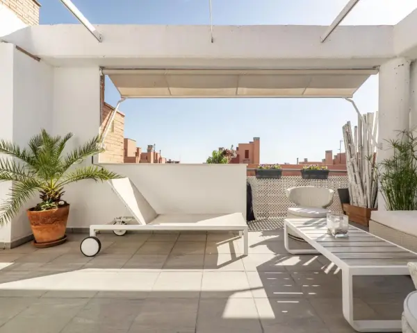 Encantadora decoracion terrazas aticos: tumbona, mesa de centro, sillón y plantas crean un oasis urbano.