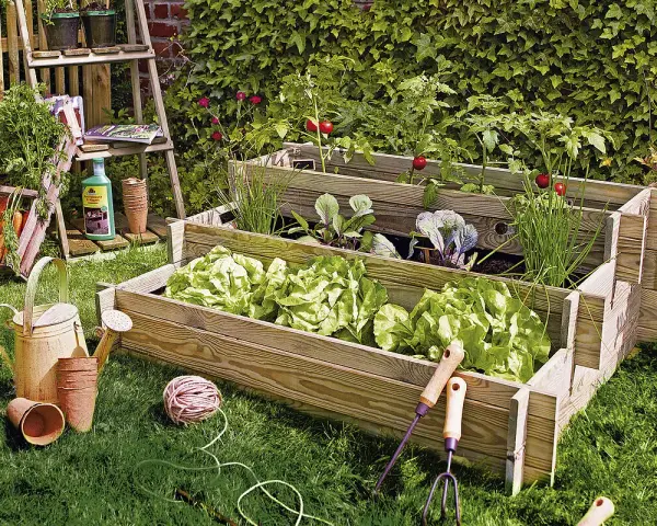 Huerto escalonado con lechugas, cebollino, col y tomates. Ideal para ver qué se puede plantar ahora.