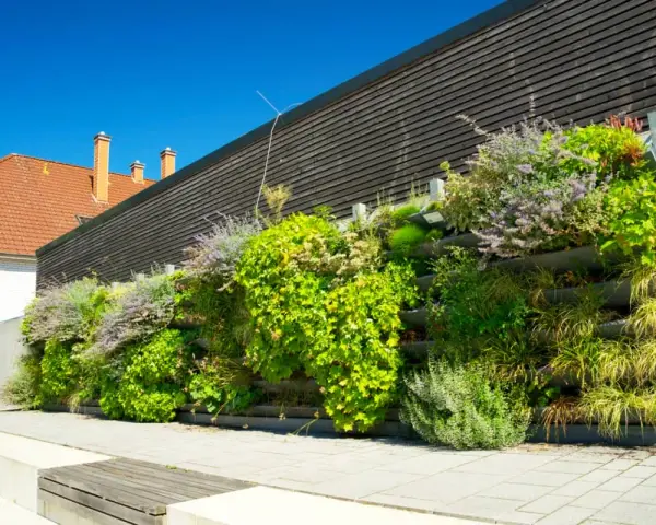 Un exuberante jardín vertical con palets y macetas, lleno de plantas verdes y flores moradas, adorna una pared de madera oscura.