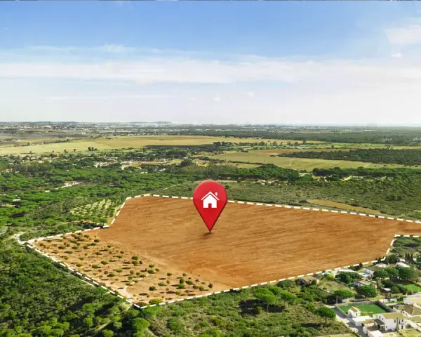 Vista aérea de varios tipos de terrenos: un campo marrón arado, un bosque de pinos y un área residencial.
