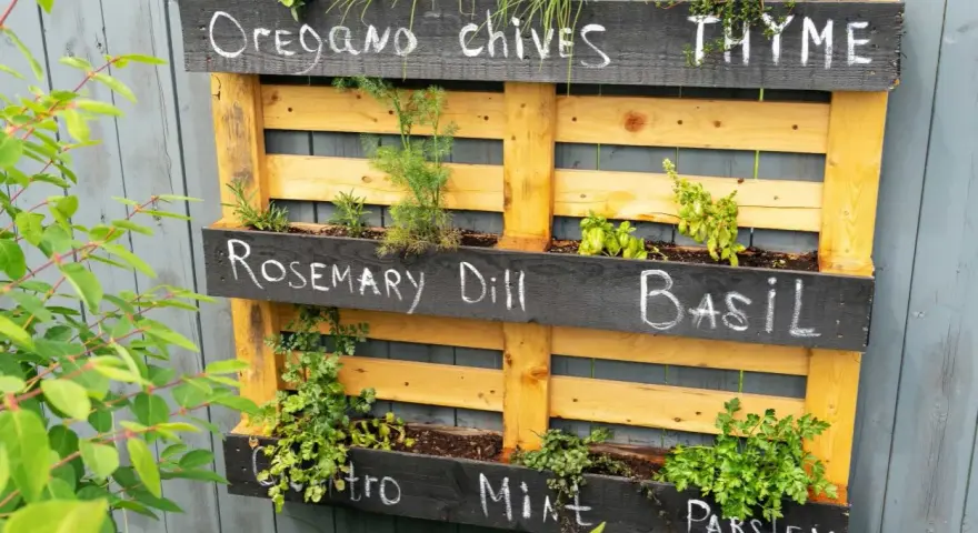 Jardineras con palets exterior llenas de hierbas aromáticas: orégano, cebollino, tomillo, romero, eneldo, albahaca, cilantro, menta y perejil.