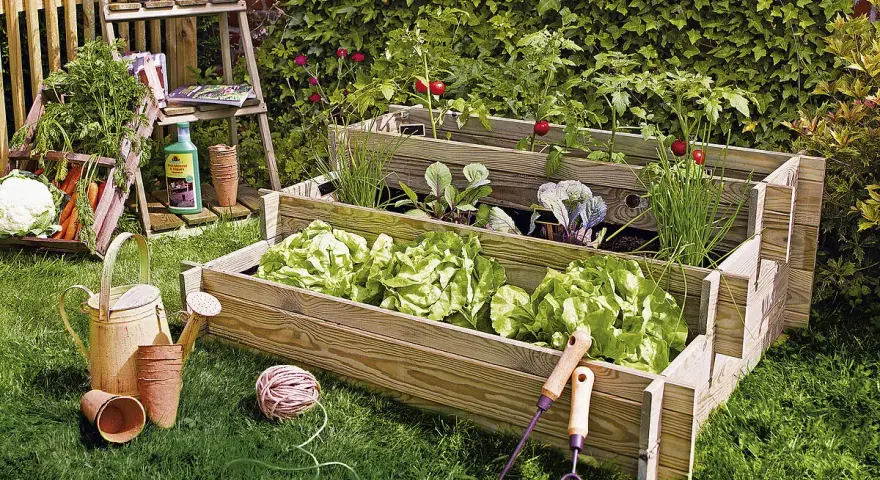 Huerto escalonado con lechugas, cebollino, col y tomates. Ideal para ver qué se puede plantar ahora.