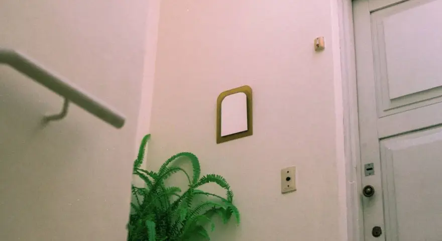Un helecho verde decora un rincón, mostrando que se pueden poner plantas en zonas comunes. Una puerta blanca y un pasamanos completan la escena.