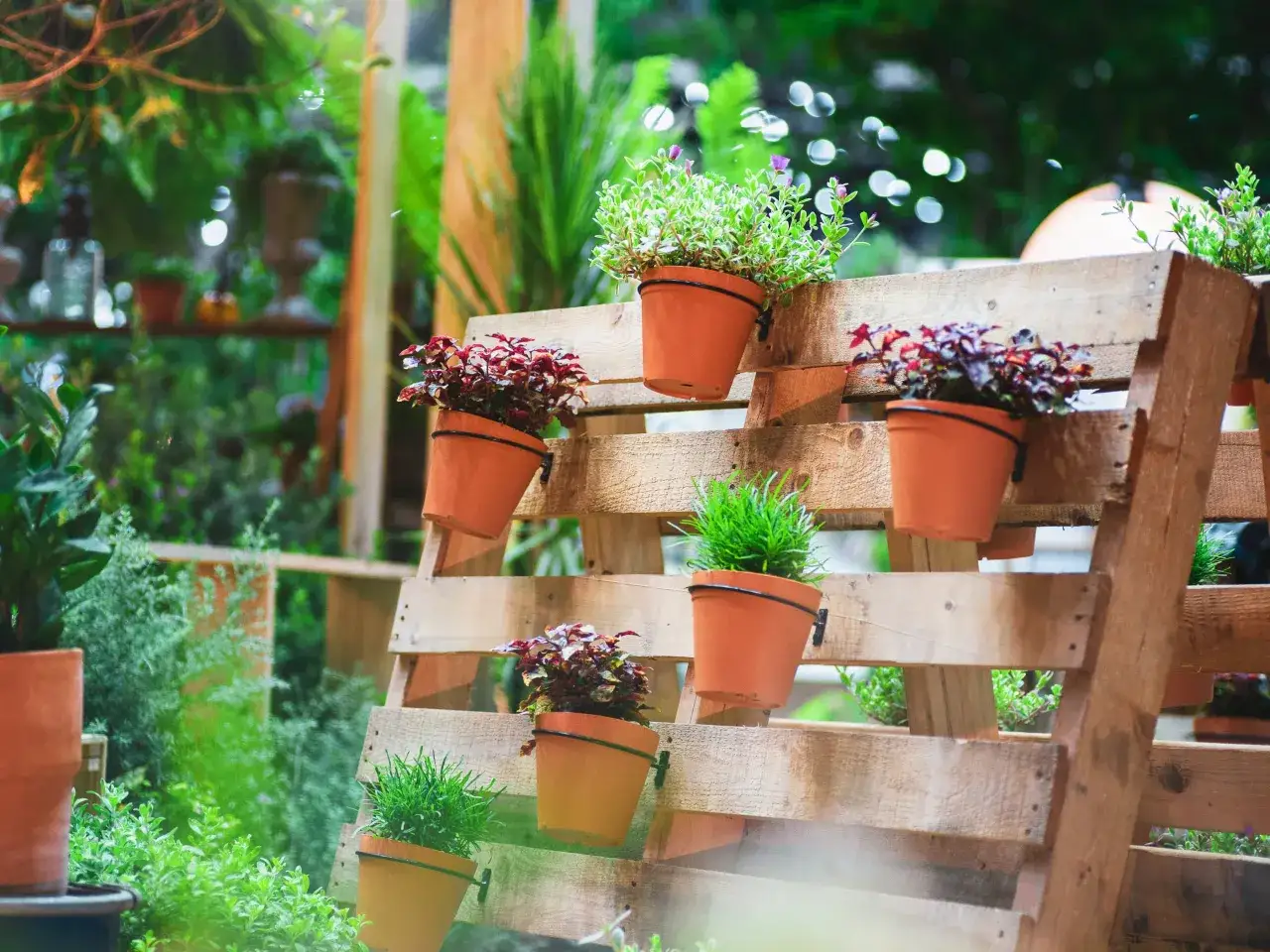 Jard&iacute;n vertical con palets y macetas de terracota, lleno de plantas verdes y rojas.