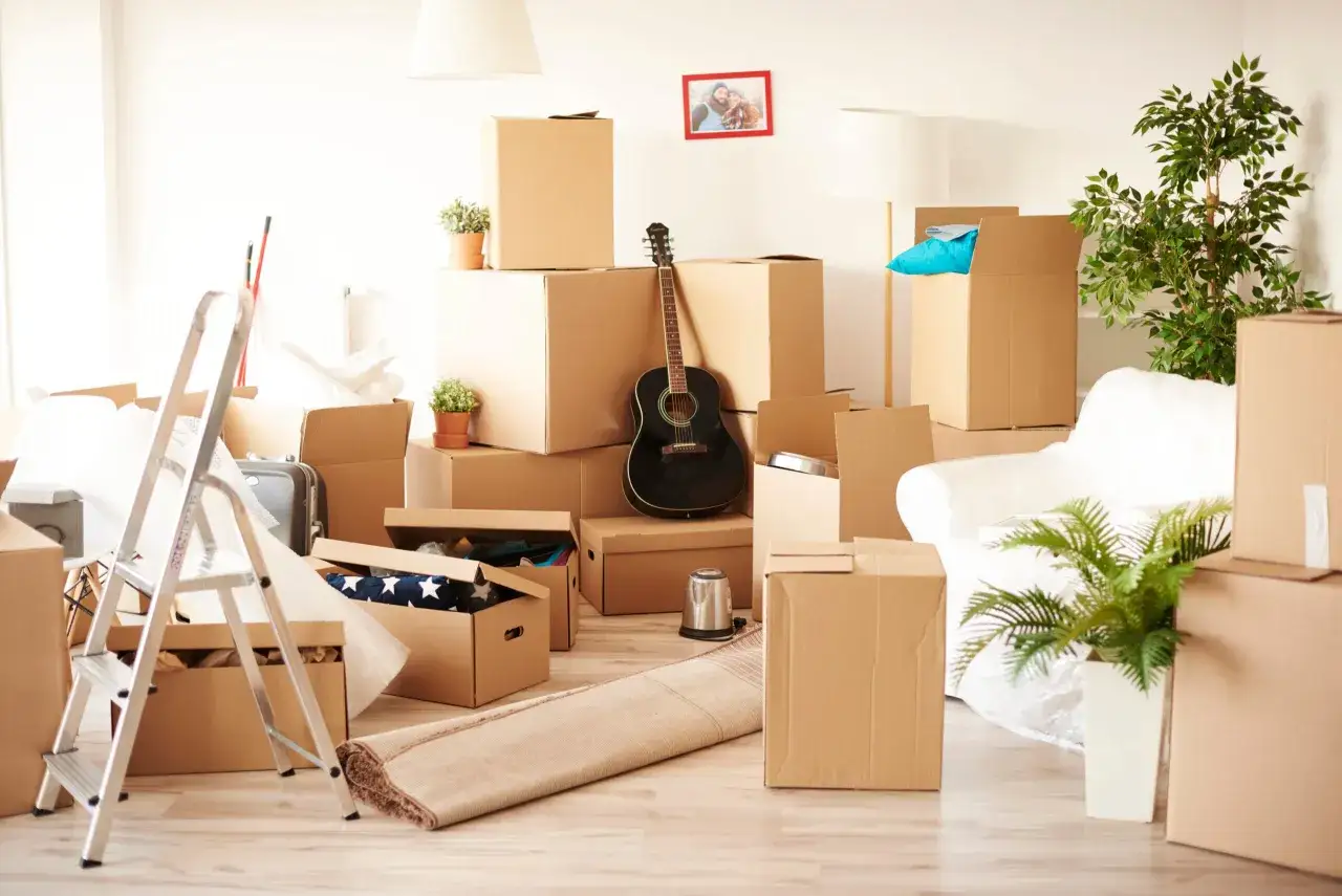 Cajas de mudanza, guitarra, escalera y plantas listas para llevar a un piso de estudiantes.