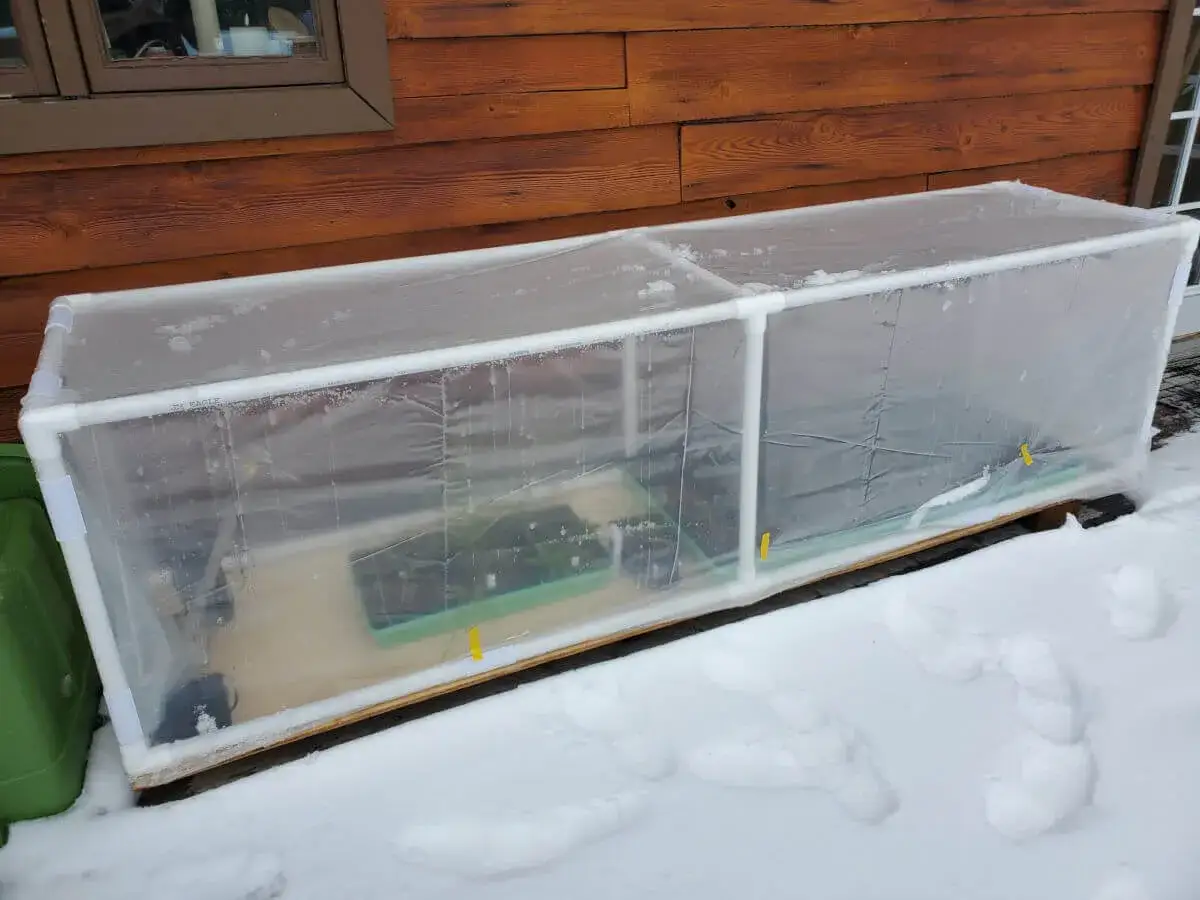 Invernadero casero de PVC y pl&aacute;stico para proteger plantas del fr&iacute;o. &iexcl;Construir un invernadero casero por menos de 20 euros es posible!