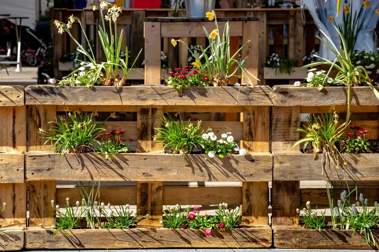 Jardineras con palets exterior llenas de flores de primavera, narcisos y margaritas, creando un rinc&oacute;n verde y acogedor.