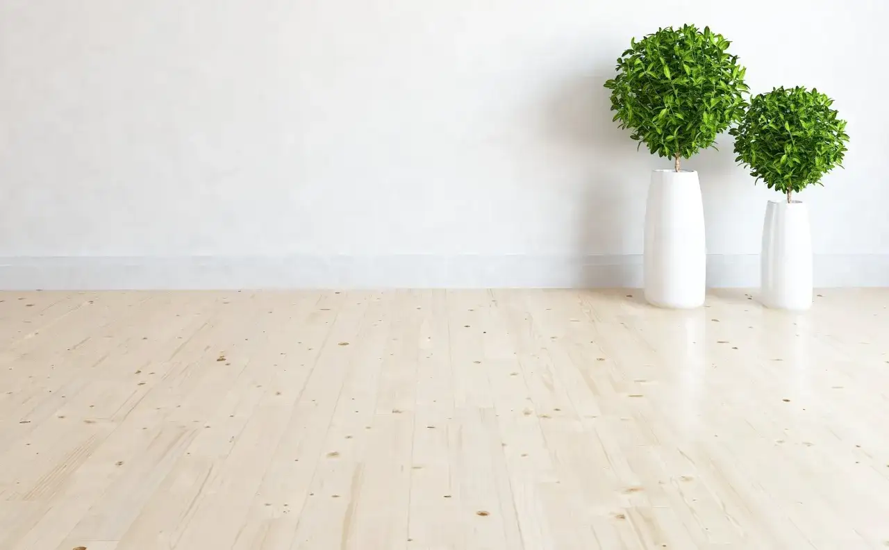 Dos plantas verdes en macetas blancas, como si fueran guardianes de unas casas de cuento, esperan en un suelo de madera clara.